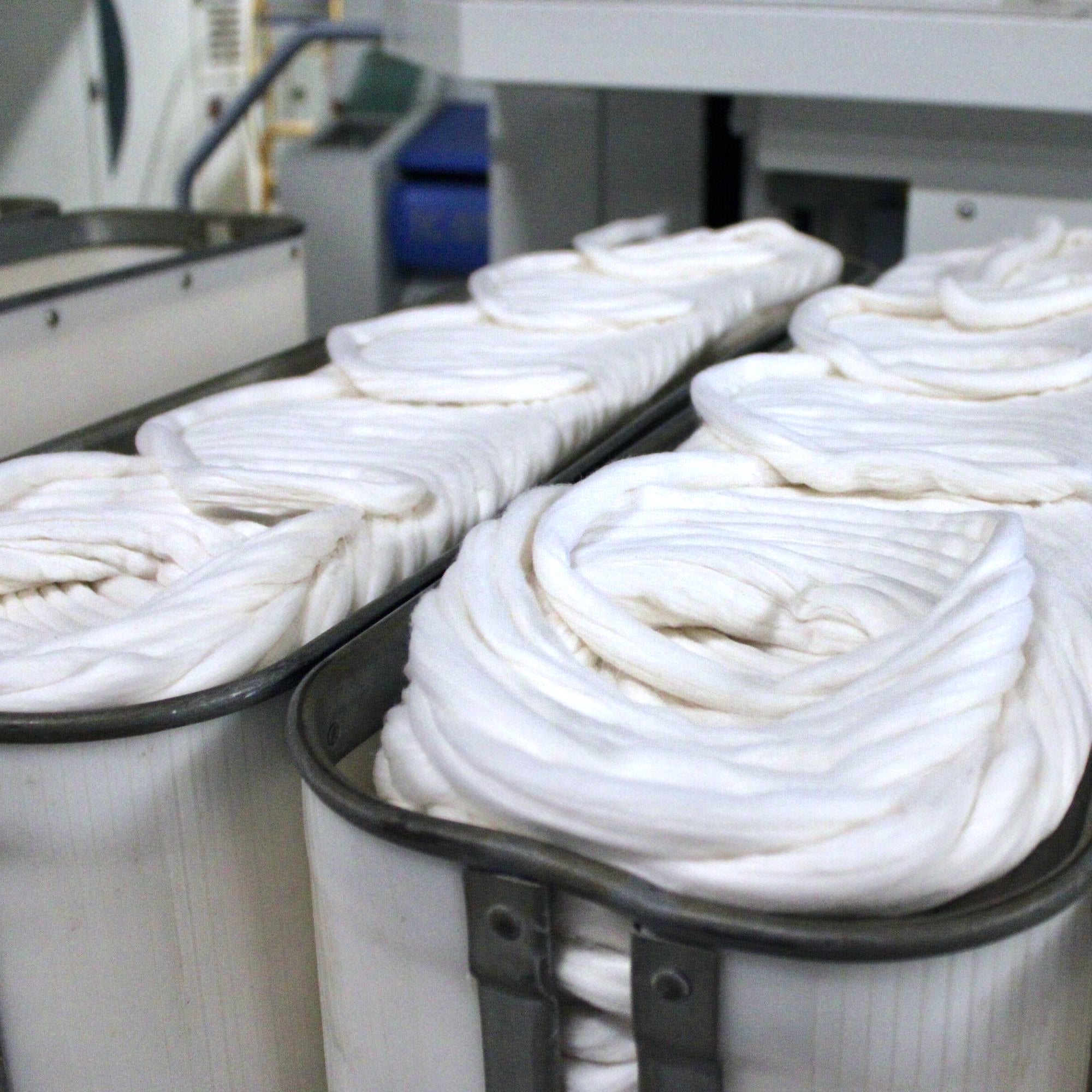 Combed cotton yarn slivers ready for spinning