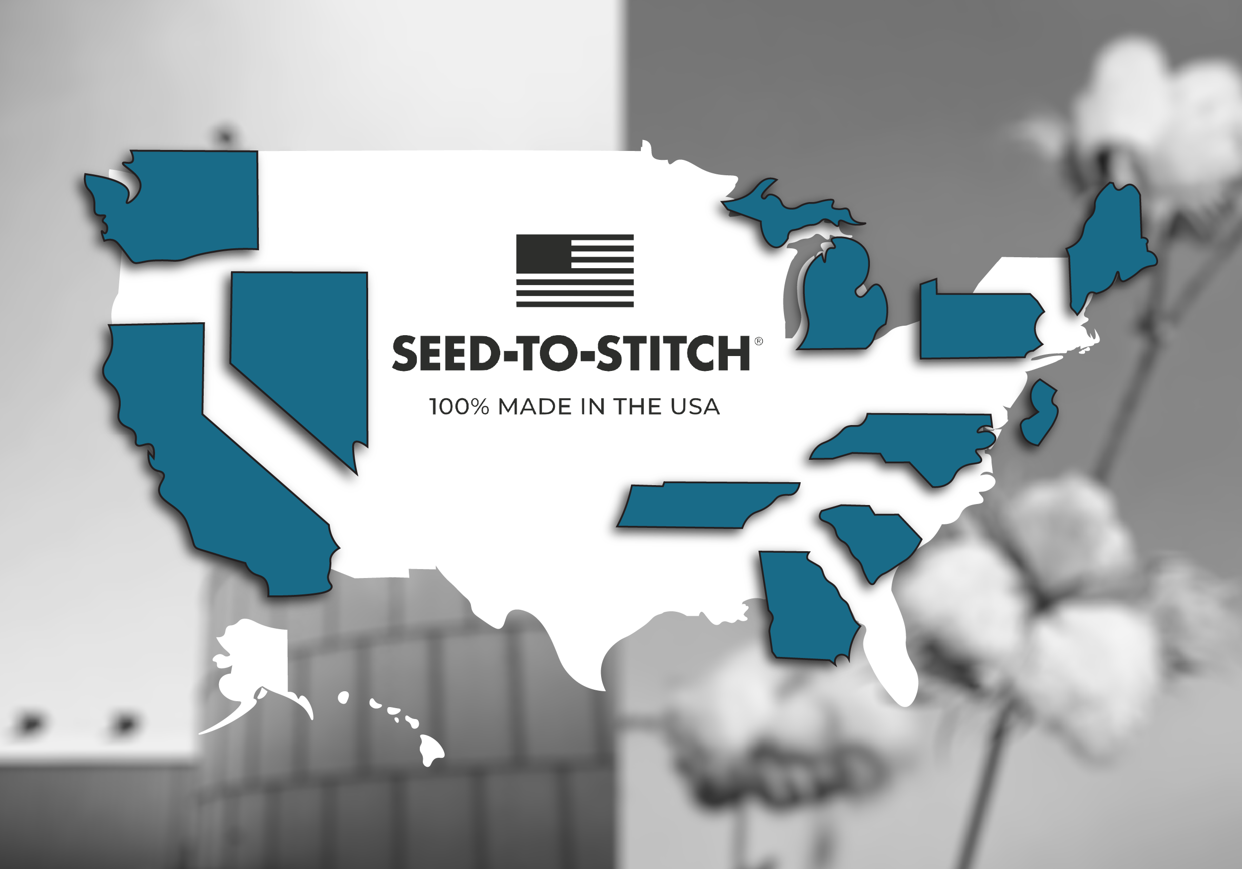 Map of the United States overlayed over an image of a building and an image of cotton. All states are white, except for Washington, California, Nevada, Michigan, Tennessee, Georgia, North Carolina, South Carolina, New Jersey, Pennsylvania, and Maine, which are all blue. The map also reads "Seed-to-Stitch® 100% Made in the USA".