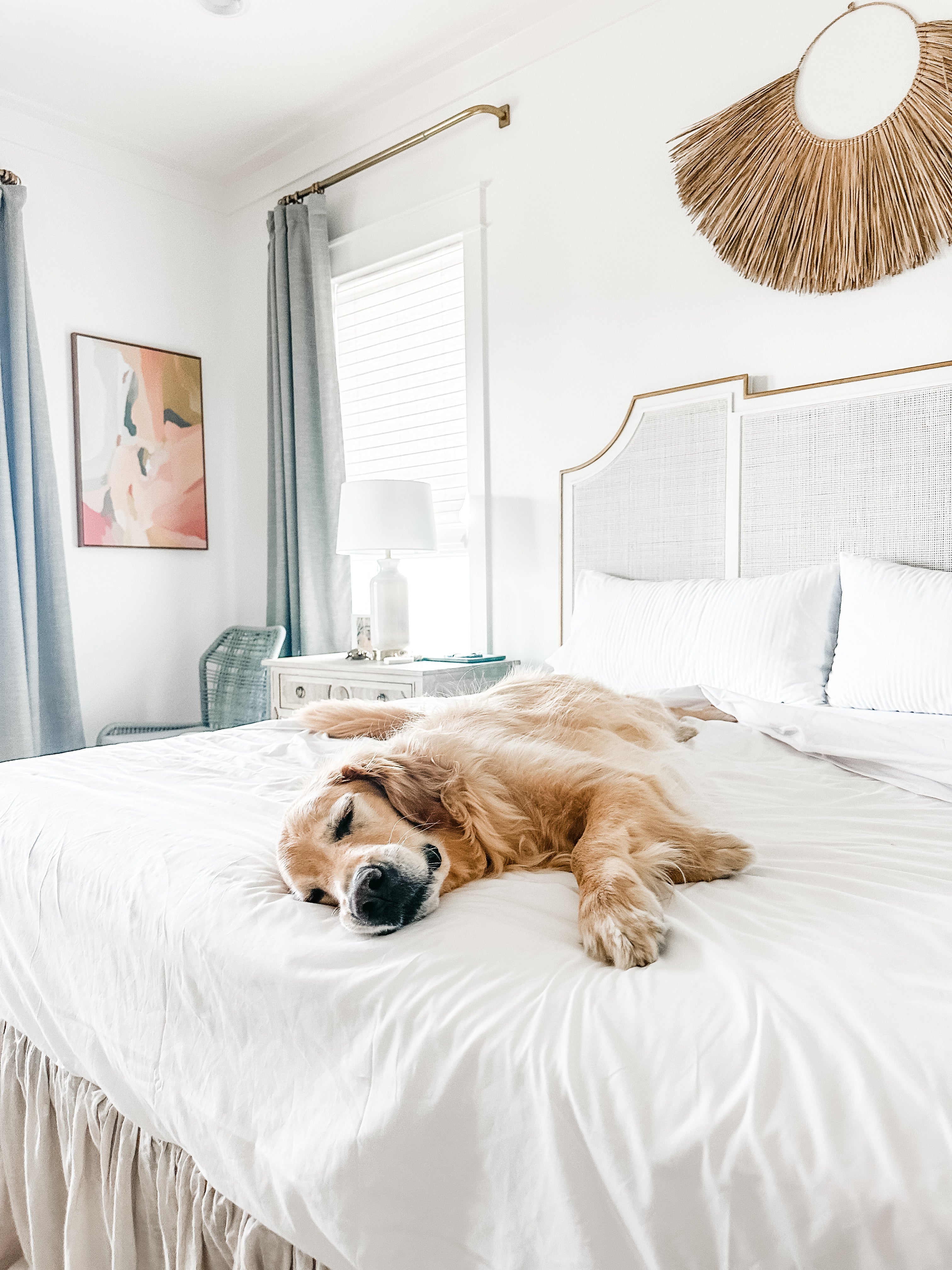 Dog sleeping on a bed, which is dressed in Cloud White Heritage American Sheets.